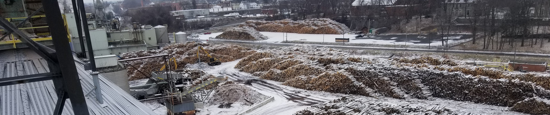 wood yard in winter